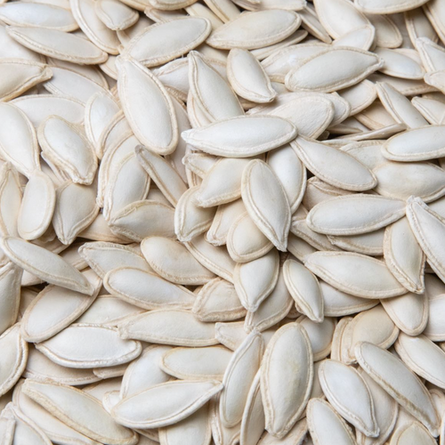 PUMPKIN SEEDS