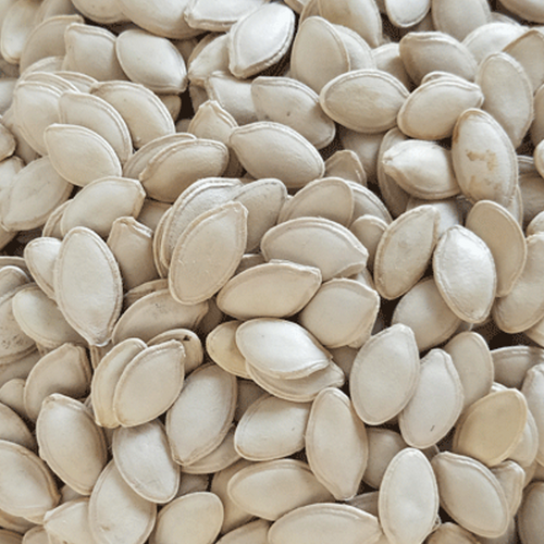 PUMPKIN SEEDS