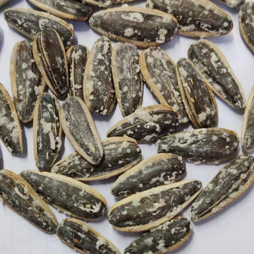 Roasted sunflower seeds
