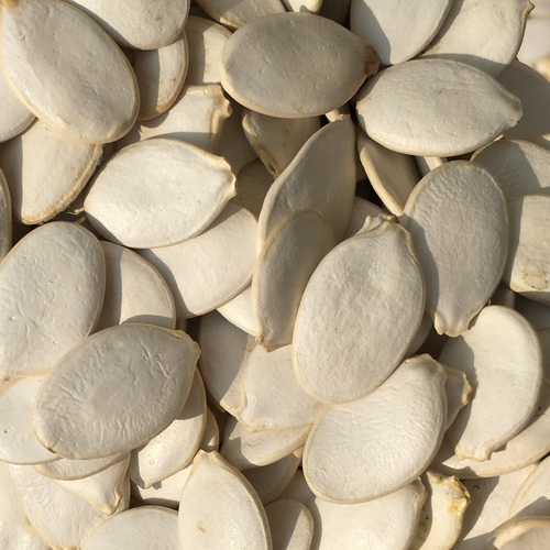 SNOW WHITE PUMPKIN SEEDS