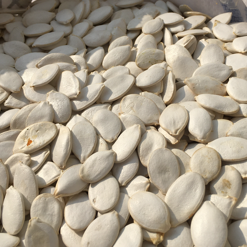 SNOW WHITE PUMPKIN SEEDS
