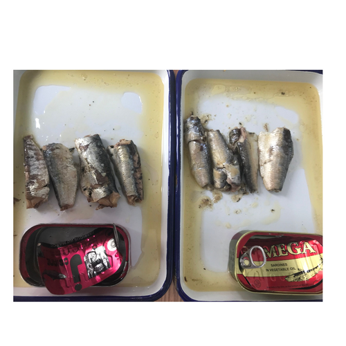 Canned fish