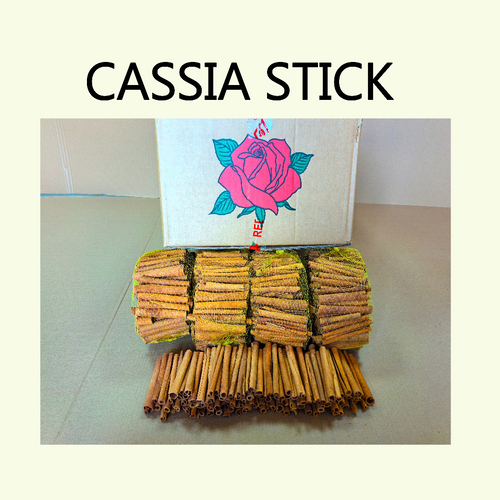 CASSIA STICKS