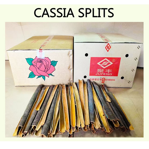 SPLITS CASSIA