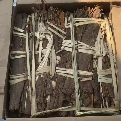 CASSIA WHOLE WITH BAMBOO BUNDLES
