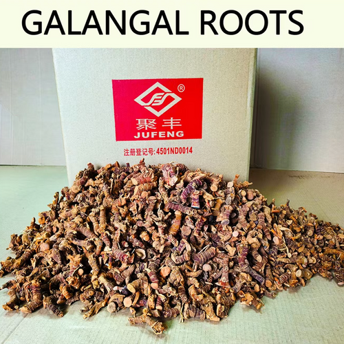 GALANGAL ROOTS