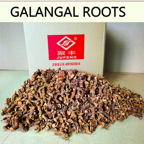 GALANGAL ROOTS