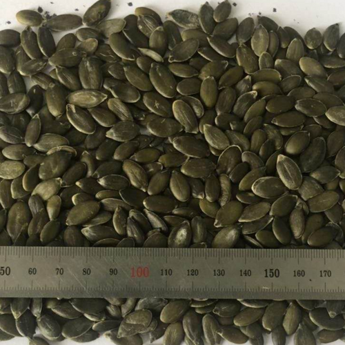 Dried pumpkin seed & kernels & GWS