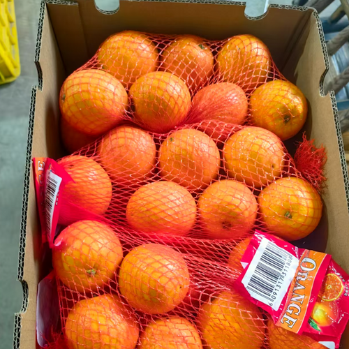 navel orange