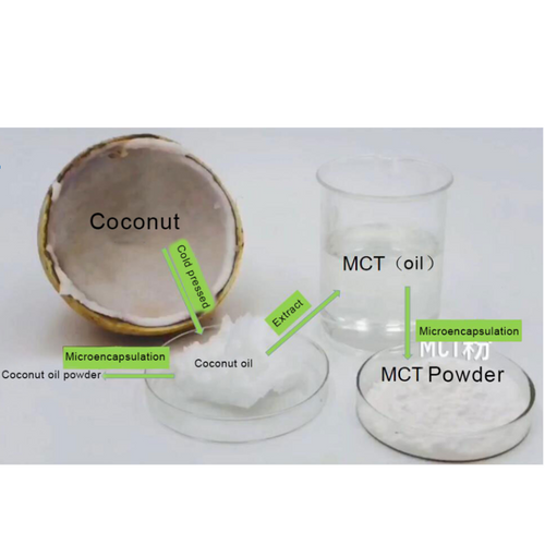 Medium-chain triglyceride (MCT) oil powder