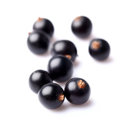 Black & Red Currant
