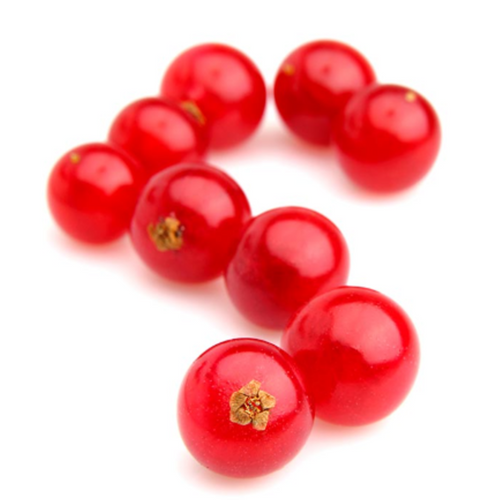 Black & Red Currant