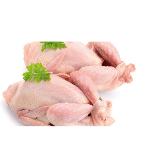 pheasant meat