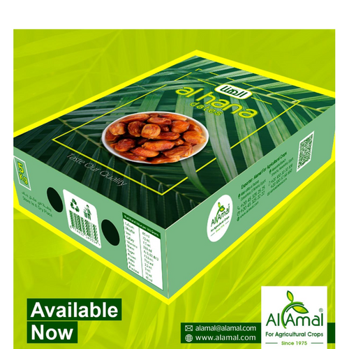 EGYPTIAN DATES