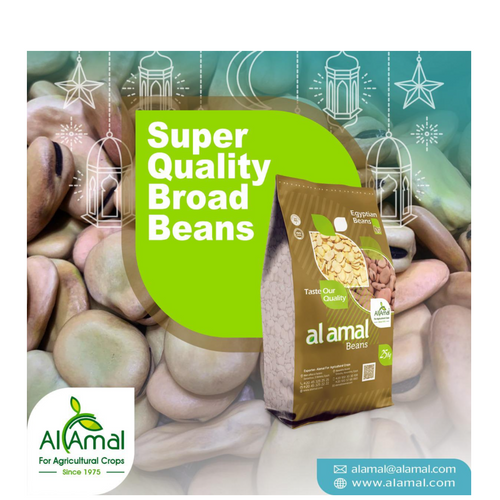 WHOLE BROAD BEANS