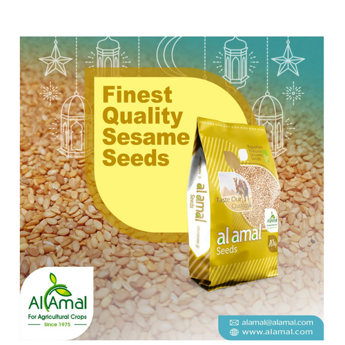 Golden Sesame Seeds