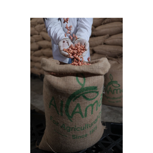 RED SKIN PEANUTS