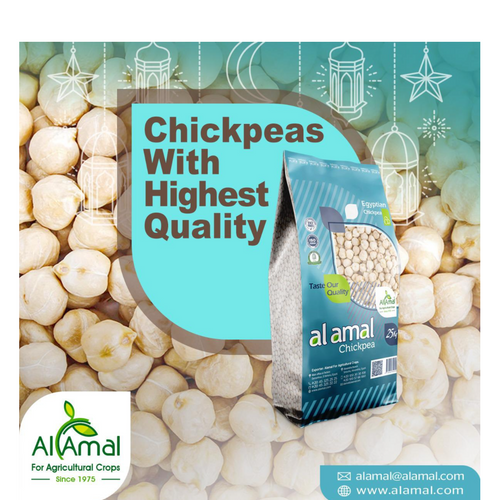 CHICKPEAS