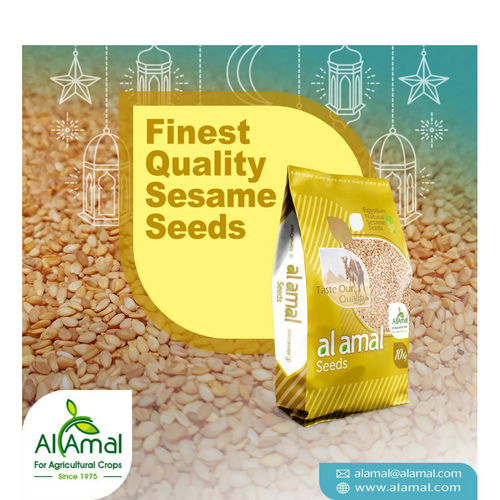 Golden Sesame Seeds