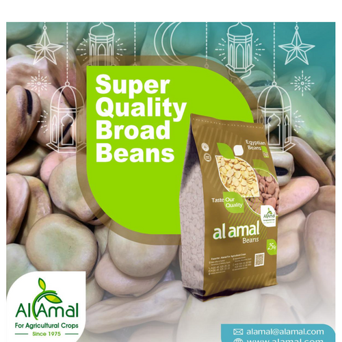 WHOLE BROAD BEANS