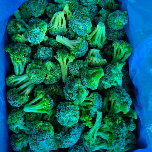 IQF Broccoli
