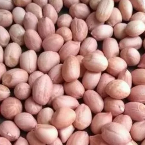 Virginia (long type) Peanut Kernels