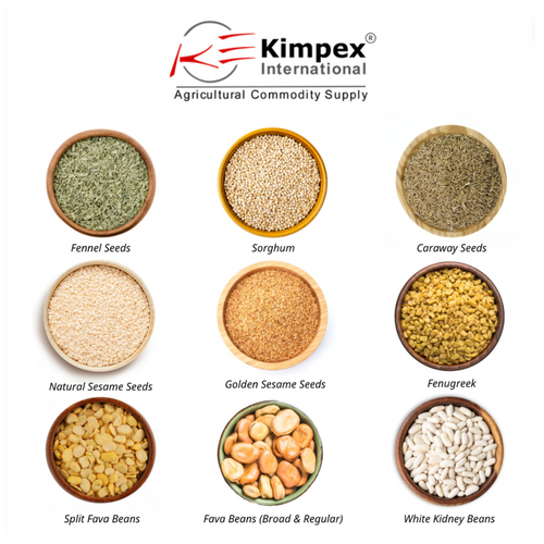 Product Catalogue