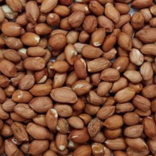 Whole Kernel Peanut 50/60