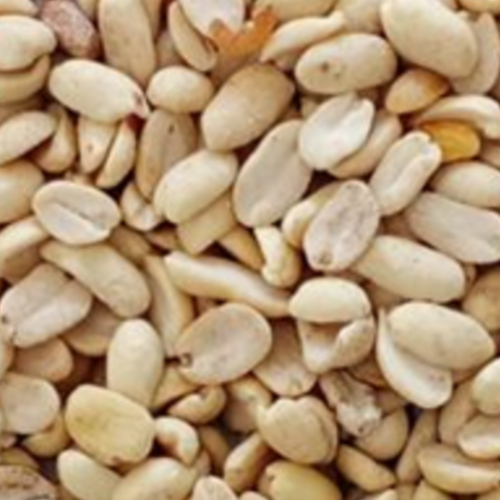 Split Blanched Peanuts - B