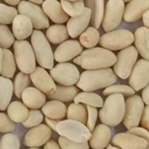 Whole Blanched Peanut 50/60