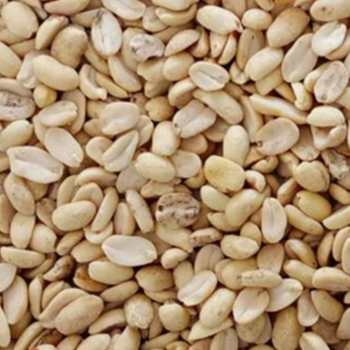 Split Blanched Peanuts - B