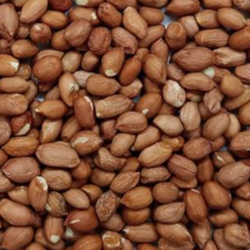 Whole Kernel Peanut 50/60