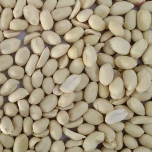 Whole Blanched Peanut 38/42