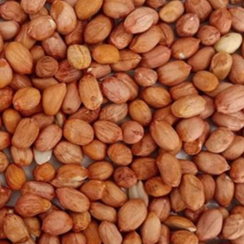 Whole Kernel Peanut 38/42