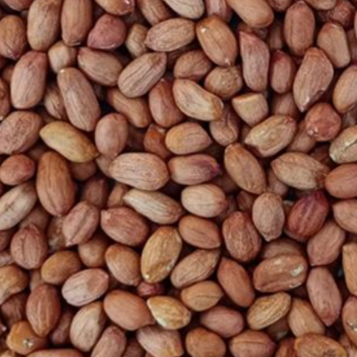 Whole Kernel Peanut 40/50