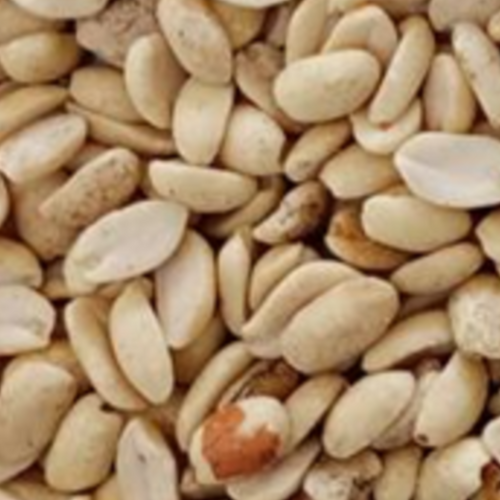 Split Blanched Peanuts - B