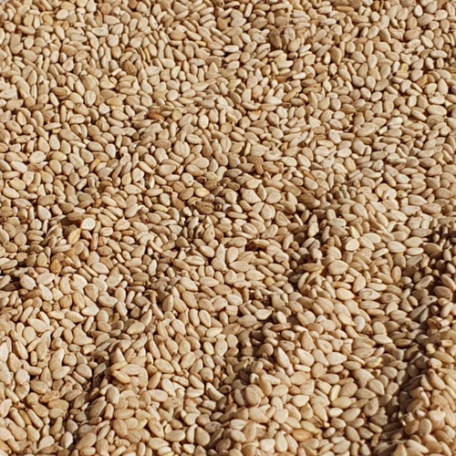 Sesame