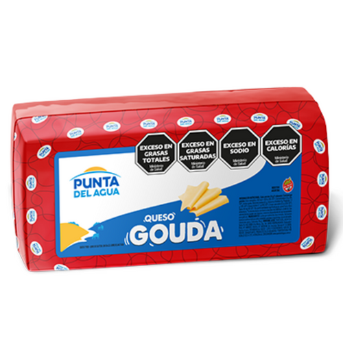 Regular Gouda Cheese