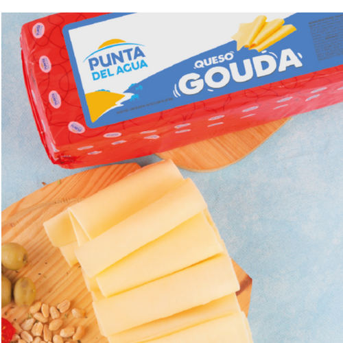 Regular Gouda Cheese