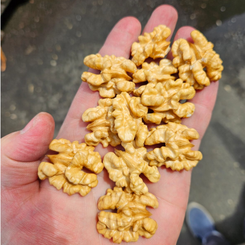 SHELLED WALNUTS