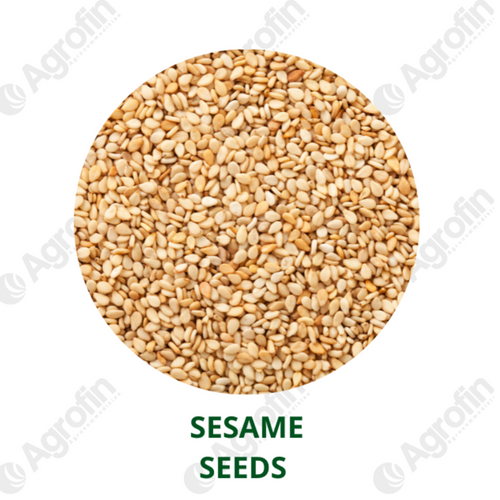 Sesame Seeds