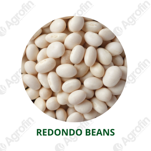 Redondo Imperio Beans