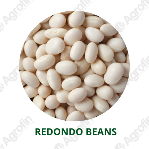 Redondo Imperio Beans