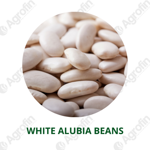 White AlubiaBeans