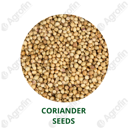Coriander Seeds