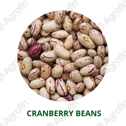 Cranberry Beans