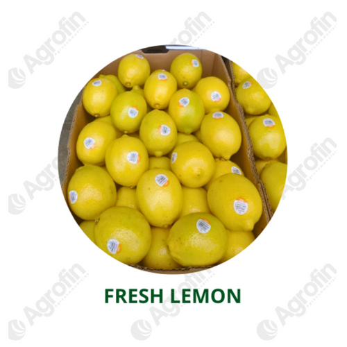 Fresh Lemon