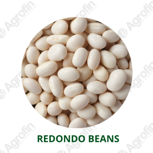 Redondo Imperio Beans
