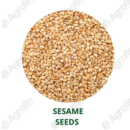 Sesame Seeds