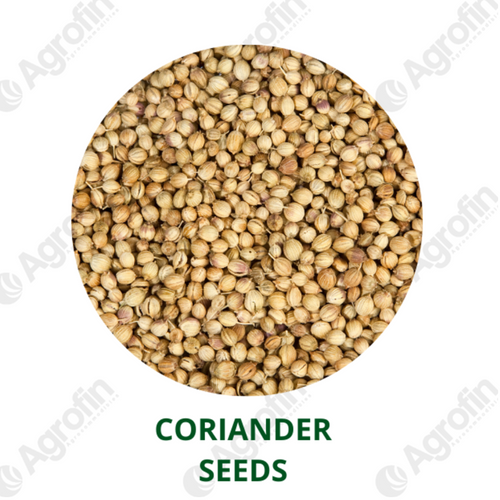 Coriander Seeds